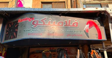فلامينكو flamingo logo